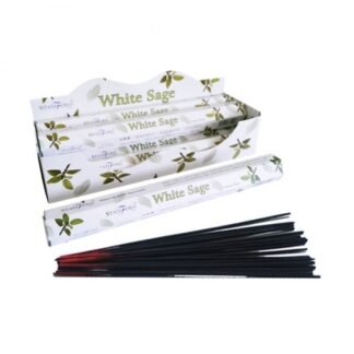 White Sage  Premium Incense X 1