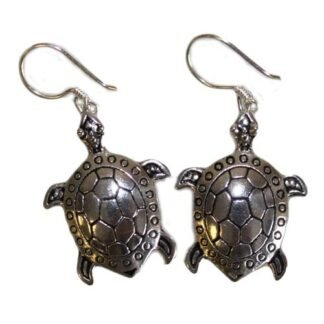 Silver Earrings - Turtles X 1