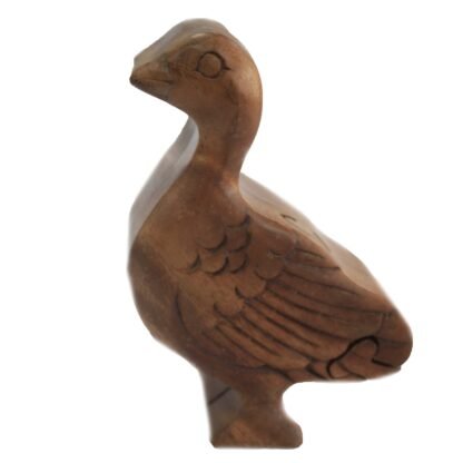 Bali Magic Box - Pretty Duck X 1