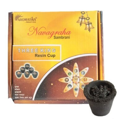 Box of 12 Resin Cups - Three Kings X 1