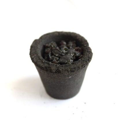 Box of 12 Resin Cups - Three Kings X 1 - Image 4
