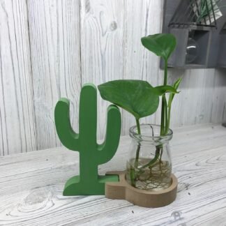 Hydroponic Home Decor - Cactus Pot X 1