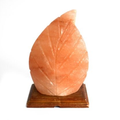 Shape Salt Lamp - Fern X 1