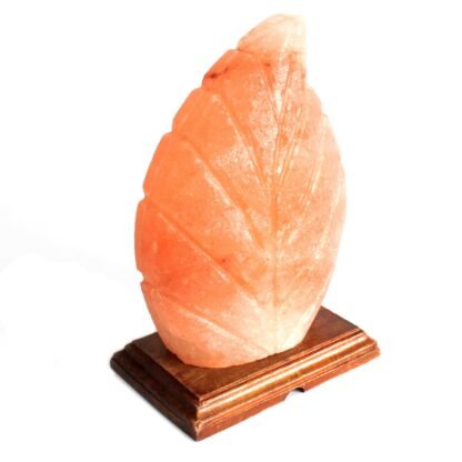 Shape Salt Lamp - Fern X 1 - Image 2