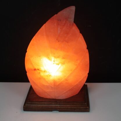 Shape Salt Lamp - Fern X 1 - Image 3
