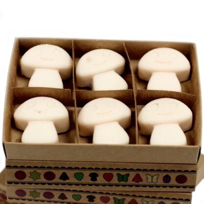 Box of 6 Wax Melts - Vanilla Nutmeg X 1 - Image 3