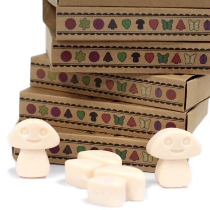 Box of 6 Wax Melts - Vanilla Nutmeg X 1 - Image 4