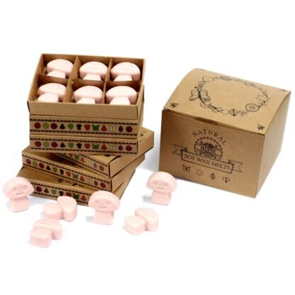 Box of 6  Wax Melts - Old Ginger X 1