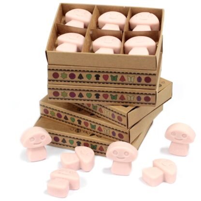 Box of 6  Wax Melts - Old Ginger X 1 - Image 2