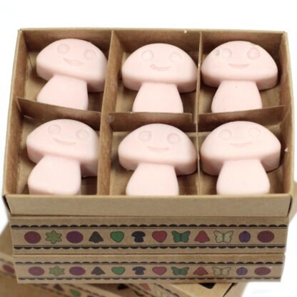 Box of 6  Wax Melts - Old Ginger X 1 - Image 3