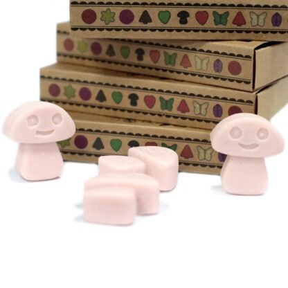 Box of 6  Wax Melts - Old Ginger X 1 - Image 4