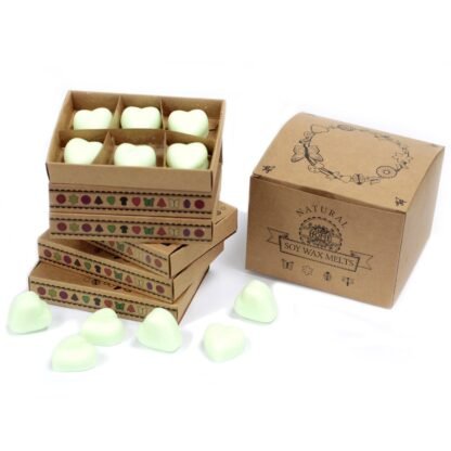 Box of 6 Wax Melts - Brandy Butter X 1