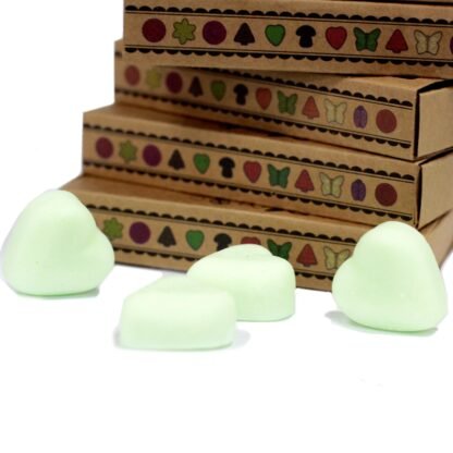 Box of 6 Wax Melts - Watermelon Fresh X 1 - Image 3
