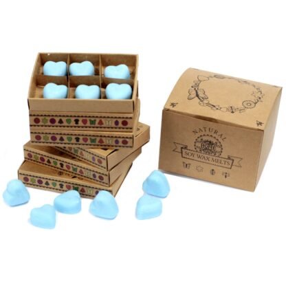 Box of 6 Wax Melts - Dewberry X 1