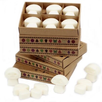 Box of 6 Wax Melts - White Musk X 1 - Image 2