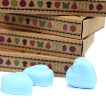 Box of 6 Wax Melts - Dewberry X 1 - Image 3