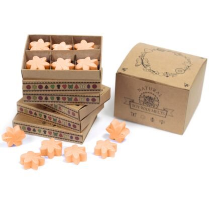 Box of 6  Wax Melts - Mango Fruits X 1 - Image 2