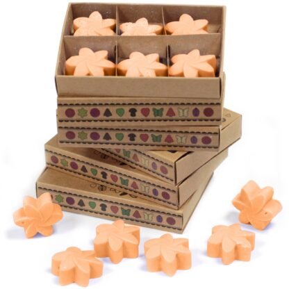 Box of 6  Wax Melts - Mango Fruits X 1 - Image 3