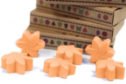Box of 6  Wax Melts - Mango Fruits X 1 - Image 6