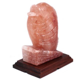 Fish Shaped Salt Lamp X 1