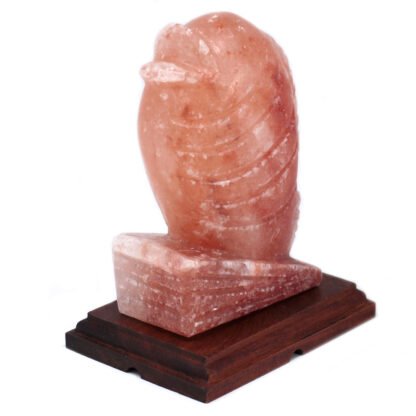 Fish Shaped Salt Lamp X 1