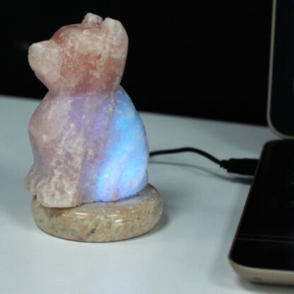 USB Dog Shaped (Multi) X 1