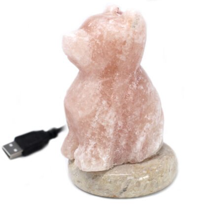 USB Dog Shaped (Multi) X 1 - Image 2