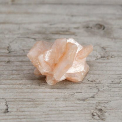Stilbite Combination with Appophyllite 20-30mm X 1 - Image 2