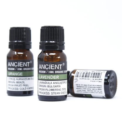 Rose Geranium Organic Essential Oil 10ml X 1 - Image 3