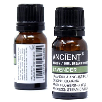 Rose Geranium Organic Essential Oil 10ml X 1 - Image 2