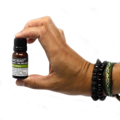 10 ml Lemon Verbena Essential Oil X 1 - Image 2