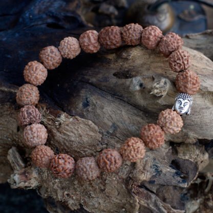 Rudraksha Buddah Bangle Mala - Natural X 1 - Image 2