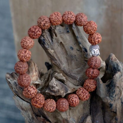 Rudraksha Buddah Bangle Mala - Natural X 1 - Image 4