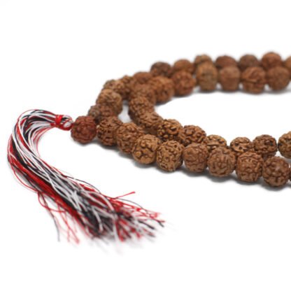 108 Rudraksha Mala - Natural X 1 - Image 2