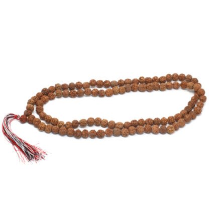 108 Rudraksha Mala - Natural X 1 - Image 3