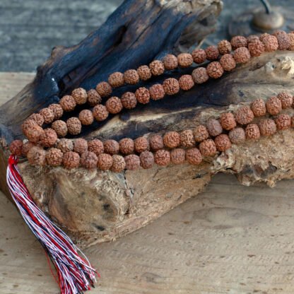 108 Rudraksha Mala - Natural X 1 - Image 4