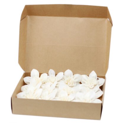 Natural Diffuser Flowers - Lrg Lily on String X 12