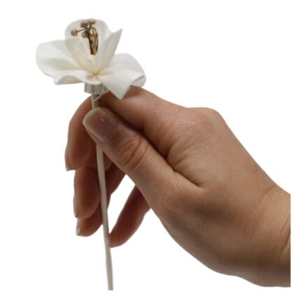 Natural Diffuser Flowers - Lily on Reed X 12 - Image 4