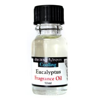 10ml Eucalyptus Fragrance Oil X 1