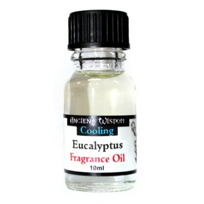 10ml Eucalyptus Fragrance Oil X 1