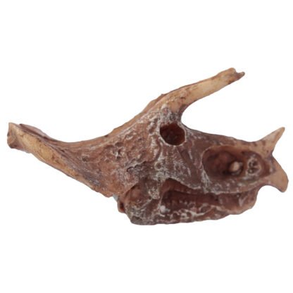 Fun Excavation Dig it Out Kit - Dinosaur Fossil 1 Pack - Image 14