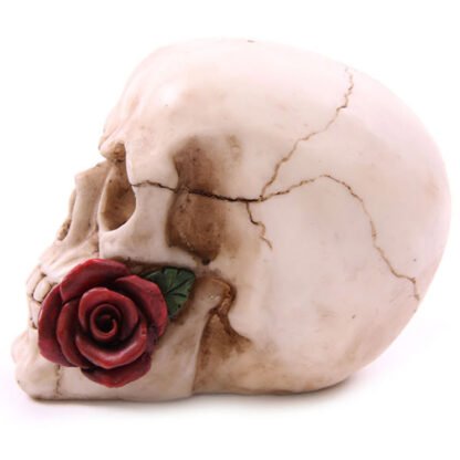 Fantasy Skull Head with Roses Ornament 1 Pack - Image 3