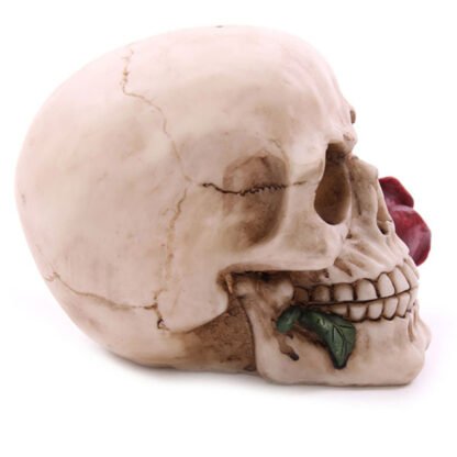 Fantasy Skull Head with Roses Ornament 1 Pack - Image 5
