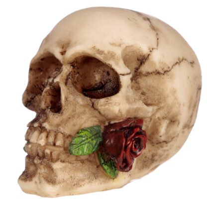 Gothic Skulls and Roses Ornament 1 Pack - Image 2