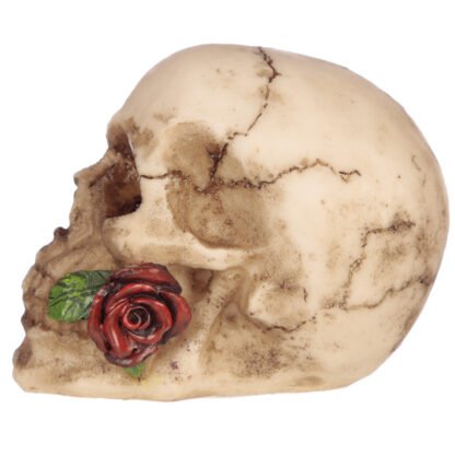 Gothic Skulls and Roses Ornament 1 Pack - Image 3