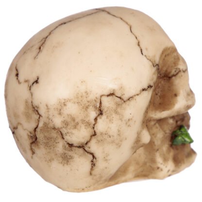 Gothic Skulls and Roses Ornament 1 Pack - Image 4