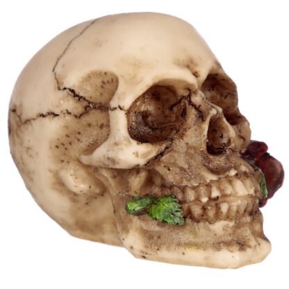 Gothic Skulls and Roses Ornament 1 Pack - Image 5