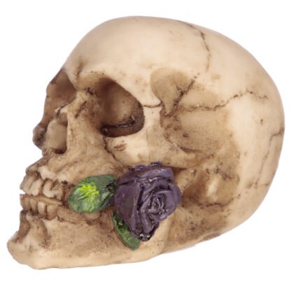 Gothic Skulls and Roses Ornament 1 Pack - Image 6