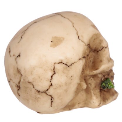 Gothic Skulls and Roses Ornament 1 Pack - Image 8