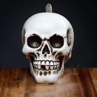 Backflow Incense Burner - Skull 1 Pack